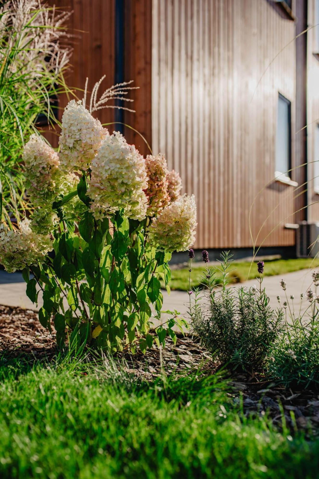 Dwa Brzegi Apartment Miedzywodzie Bagian luar foto